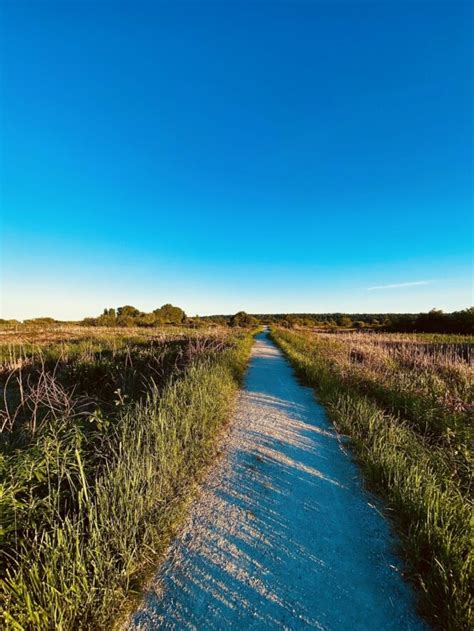 7 Things To Do at Boundary Bay Regional Park - Inside Vancouver BlogInside Vancouver Blog