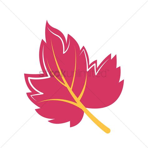 Maple Leaf Vector Art at Vectorified.com | Collection of Maple Leaf Vector Art free for personal use