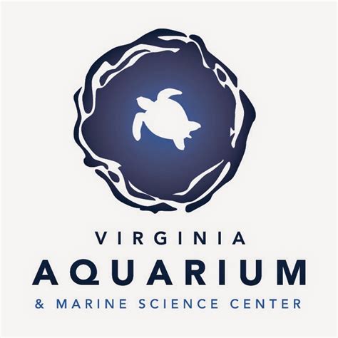 Virginia Aquarium - YouTube