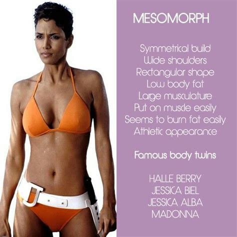 Mesomorph | Body type workout, Mesomorph body, Mesomorph body type