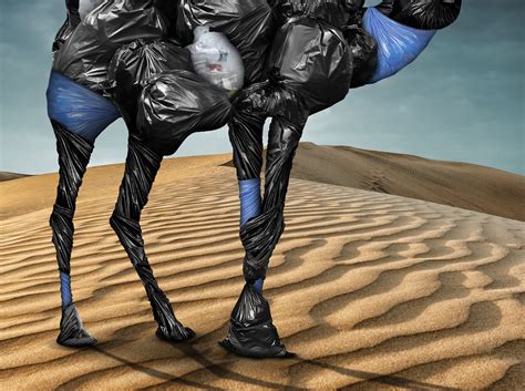 Killing our camels on Behance