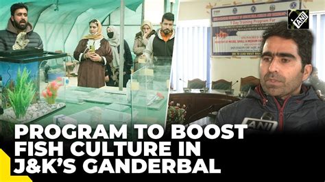 Special program organised in J&K’s Ganderbal to encourage ornamental fish culture - YouTube