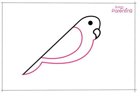 How To Draw A Bird - A Step By Step Guide With Pictures