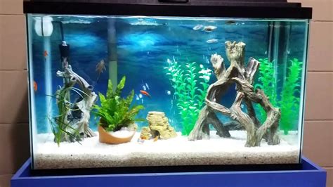 30 gallon freshwater fishtank setup - YouTube