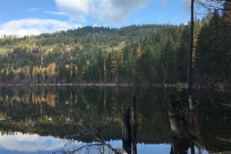 Alvord Lake Community Forest - Grizzly bear conservation and protection