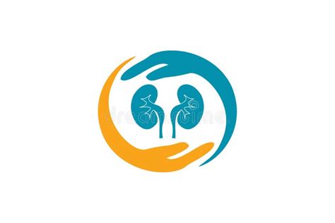 Kidney logo design stock illustration. Illustration of isolated - 197901567