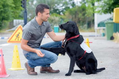 Animal job: Consider transporter, veterinarian, trainer, zookeeper