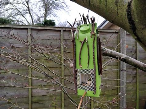 3 Easy DIY Bird Feeders from Recycled Materials - Curious and Geeks