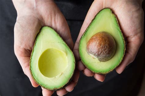 Avocado Genome Has Been Sequenced- Crop Biotech Update (August 14, 2019) | ISAAA.org