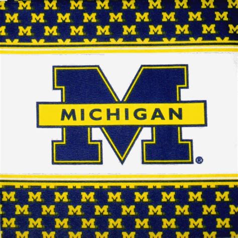 Image result for michigan football wallpaper cute | Michigan football, Football wallpaper ...