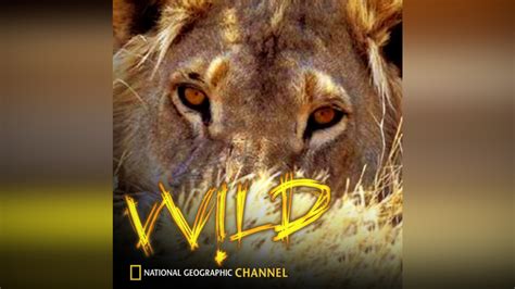 National Geographic Channel: Wild on Apple TV