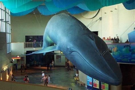 Aquariums in Southern California for a Field Trip: San Diego, Los Angeles, & Orange County ...