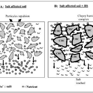 Mechanism of humic substances formation (Stevenson 1982). (1) theory of... | Download Scientific ...