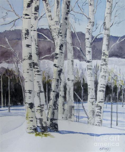 Birch Trees In Winter | Winter trees, Winter watercolor, Winter art