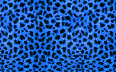 Blue Leopard Print Wallpapers - Top Free Blue Leopard Print Backgrounds - WallpaperAccess