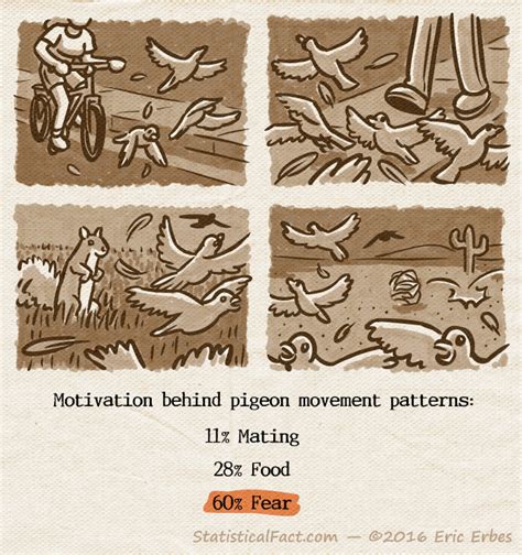 Pigeon Patterns Comic | Statistical Fact: