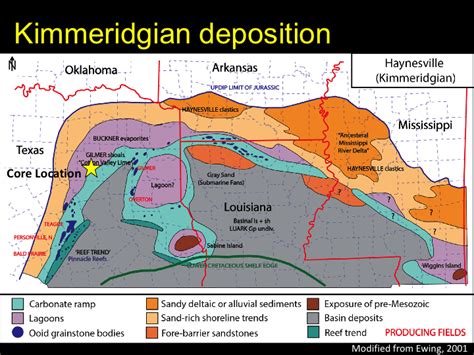 Lithofacies and Geochemical Properties of the East Texas Smackover ...