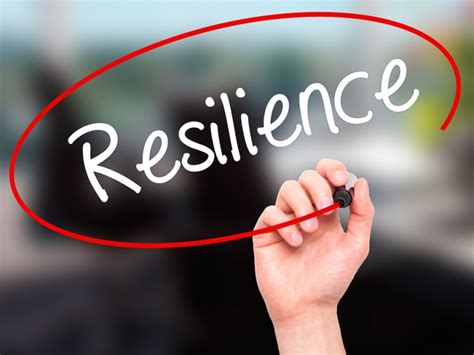 8 Keys To Resiliency: The Resilience Reflex Book Review – Take It ...