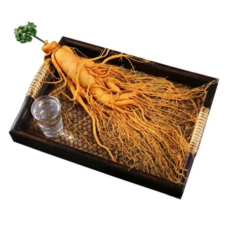 Ren shen chinese High germination purity red ginseng seeds for planting - red ginseng seeds and ...