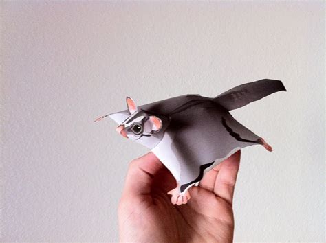 Paper glider | Sugar glider, Paper glider, Mini plants