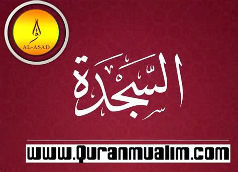 Why Was Surah Sajdah Revealed? -QuranMualim - Quran Mualim