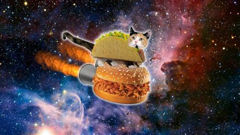 Free download Taco Cat in Space by Jayro Jones [1920x1080] for your Desktop, Mobile & Tablet ...