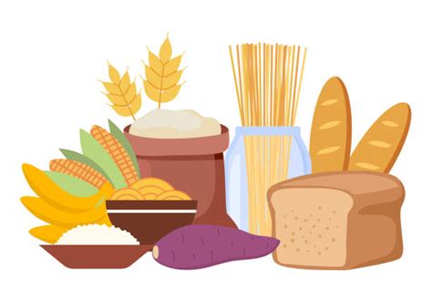 12,700+ Carbohydrates Stock Illustrations, Royalty-Free Vector Graphics & Clip Art - iStock