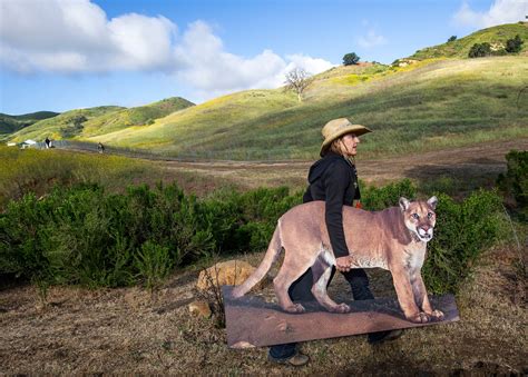 An Urban Wildlife Bridge Is Coming to California | The New Yorker