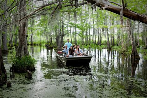 Things To Do in The Northshore, St. Tammany Parish | Tour Louisiana