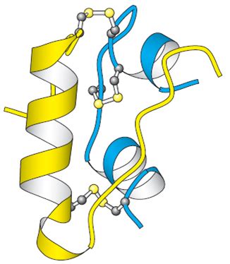 Insulin - Structure