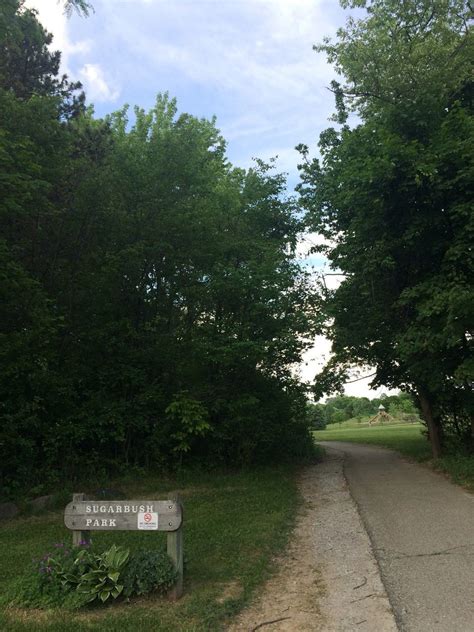 Sugarbush Park, Trail in Ann Arbor, Michigan | Park, Scenery, Hiking trails