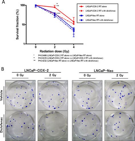 Clonogenic assay for LNCaP-COX-2 and LNCaP-Neo treated with ...