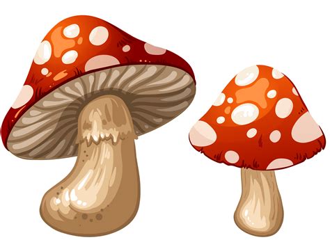 China mushroom clipart 20 free Cliparts | Download images on Clipground ...