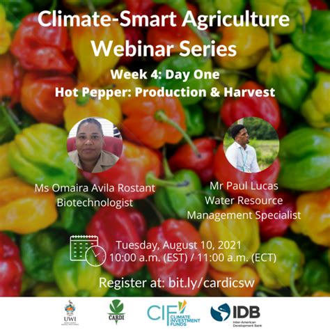 Hot Pepper – Harvesting & Production Webinar, 10 August 2021. PPCR ...