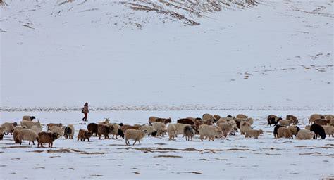 26 images of Ladakh in Winter - incredible snow-filled landscapes and frozen lakes - Darter ...