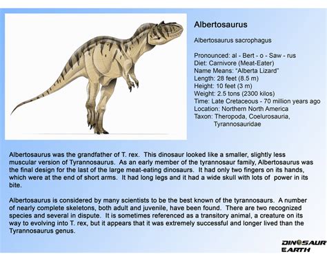 Albertosaurus - DINOSAUR EARTH