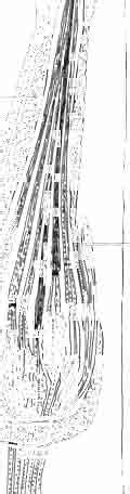 A: Schematic representation of an enfaceview on the amphid; B :... | Download Scientific Diagram