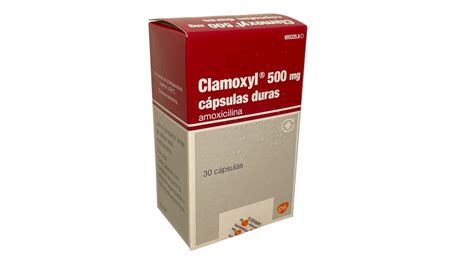 Interacción del Amoxicilina o Clamoxyl con la fisioterapia y el ejercicio terapéutico ...