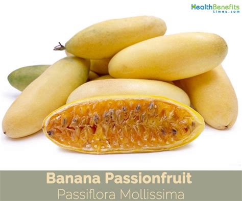 Banana Passionfruit facts and health benefits