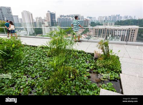 Rooftop Garden, Orchard Central, shopping mall in Singapore Stock Photo ...