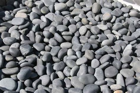 Mexican Beach Pebbles - Pine Landscape Center | Specialty Rock | Landscape Supplies