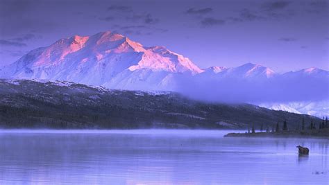 nature, Landscape, Mountains, Snow, Lake, Sunset, Mist, Cold, Moose, Alaska Wallpapers HD ...