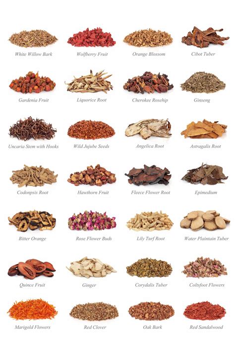 Chinese Herbs | Chinese medicinal herbs, Chinese herbs, Healing herbs