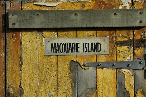 Who looks after Macquarie Island? — Macquarie Island Conservation ...