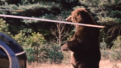 Grizzly (1976) Review - Cinematic Diversions