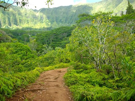 Guide to Kona Hikes | Hiking in Kona, Hawaii | Kona Coast Vacations