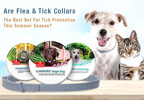 PCS-Are-Flea-&-Tick-Collars - PetCareSupplies Blog