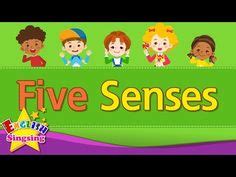 100 Five Senses ideas | senses, senses preschool, senses activities