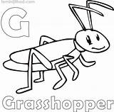 Grasshopper Coloring Sheet Pages sketch template