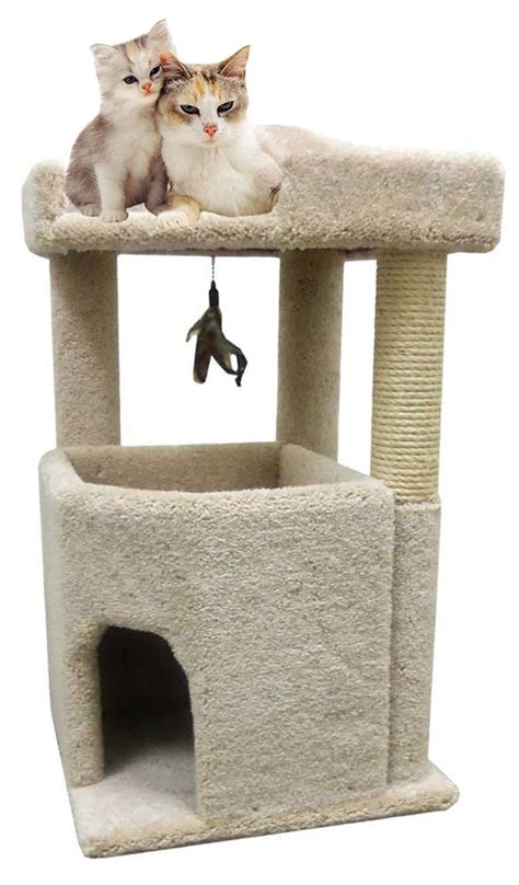 Best 'big cat' tree hammock extra tall - Your Kitchen